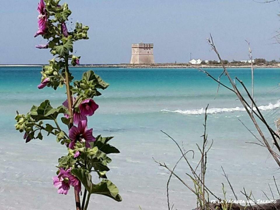 Casale Salento Acomodação com café da manhã Nardò Exterior foto